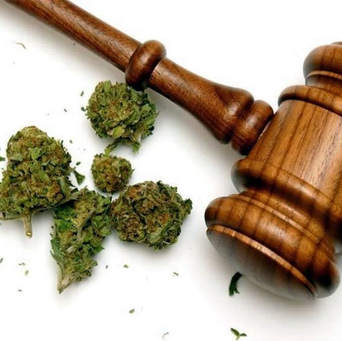 Delitos contra la salud publica, tráfico de sustancias, drogas Delitos contra la salud publica, tráfico de sustancias, drogas